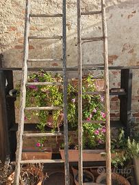 Antiche scale legno a pioli