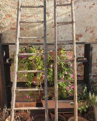 Antiche scale legno a pioli