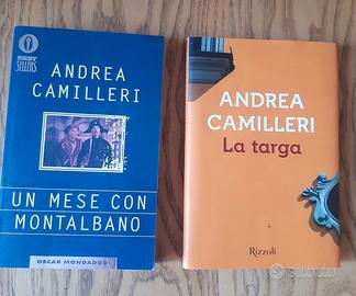 2 libri sul commissario Montalbano 