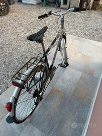 Bicicletta Zarma