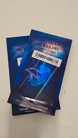 Pellicole per Samsung S20+