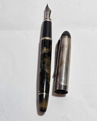 Penna stilografica Delta colore verde marmorizzato