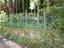 Immagine 25