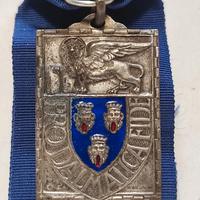 Medaglia distruzione dei leoni di S. Marco a Traù 