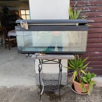 Acquario completo di accessori