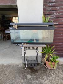 Acquario completo di accessori