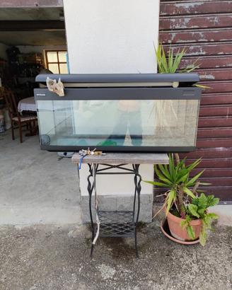 Acquario completo di accessori
