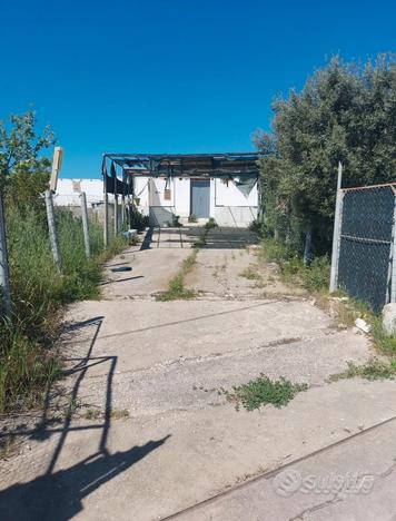 Campagna  con casa con piccolo terreno