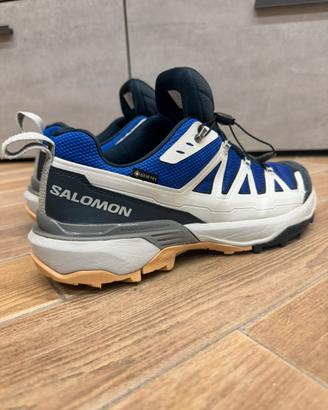 Salomon X ultra 360 Edge