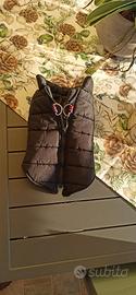 cappotto cane