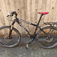 mtb Focus 