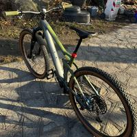 Cube STEREO ONE22 HPC TM