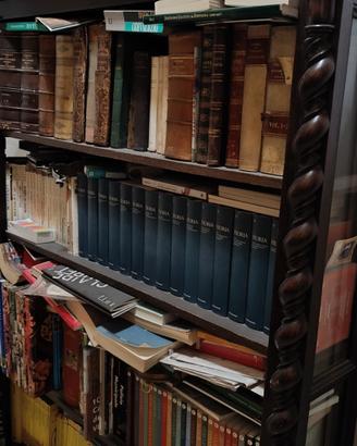 Libreria anni 50