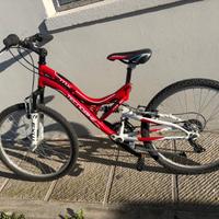 bicicletta 24 pollici 