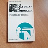 PRINCIPI GENERALI DELLA GUERRA RIVOLUZIONARIA