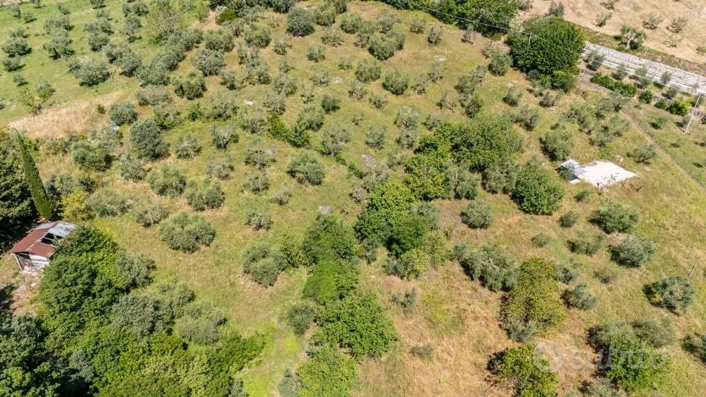 Terreno di 5460 m² a Salisano - Altro