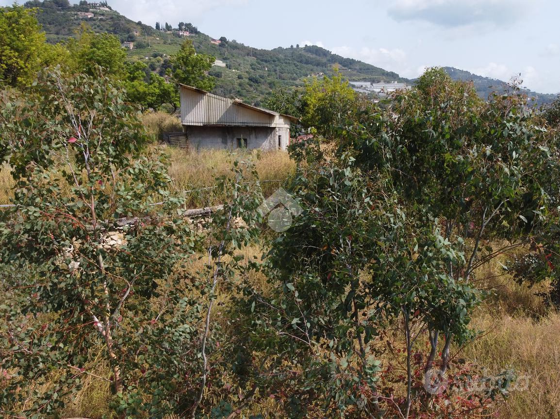 RUSTICO A VALLECROSIA AL MARE - Vista 4