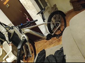 Cannodale canvas neon 2