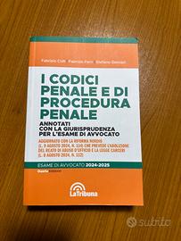 Codice dei contrasti penale e procedura penale