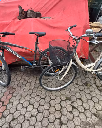 Coppia biciclette