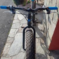bicicletta pinerolo 24