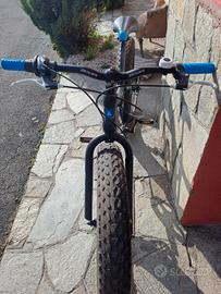 bicicletta pinerolo 24