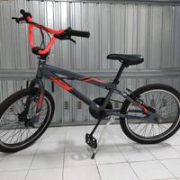 BMX Olmo 20 pollici