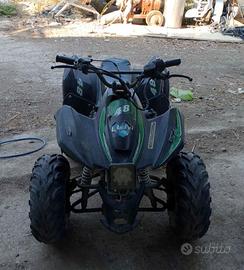 Quad Lem motor 110 4 tempi