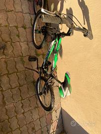 Bicicletta bambini