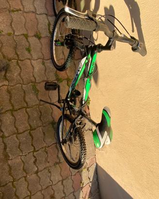 Bicicletta bambini