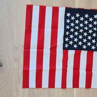 Bandana bandiera Stati Uniti d'America USA in coto