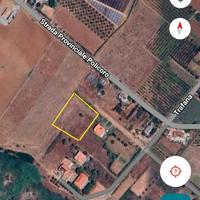 Suolo edificatorio ( Pane e vino)