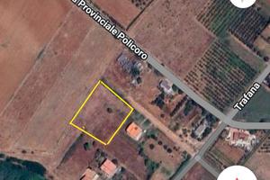 Suolo edificatorio ( Pane e vino)