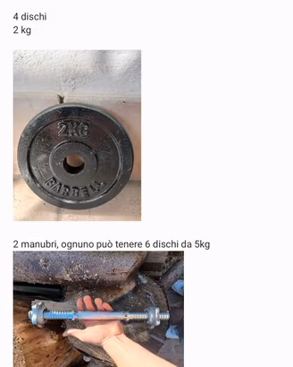 pesi e manubri