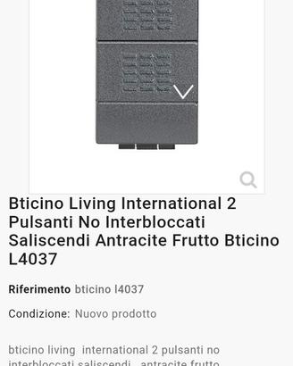 Saliscendi BTicino