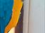 Immagine 6