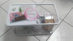 MINI ACQUARIO