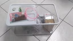 MINI ACQUARIO