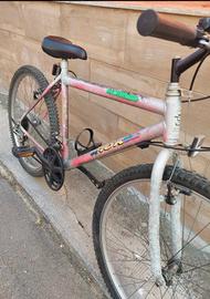 Bici Mountain Bike