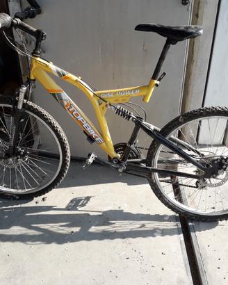 Mountain bike