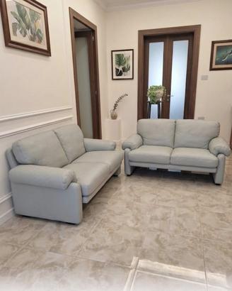 divani in pelle