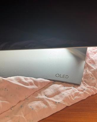 Tv oled lg 55 pollici NON funzionante