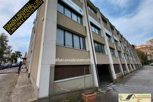 Piazzale rosselli mq 120 con cantino e posto auto