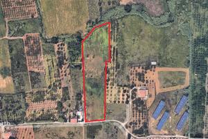 Terreno agricolo a Partinico, Cda Bosco Falconeria