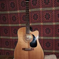 chitarra austica Takamine