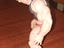 Immagine 3