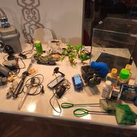 acquario con accessori 