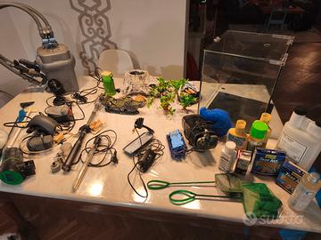 acquario con accessori 