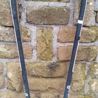 windsurf alberi rdm & boma vari