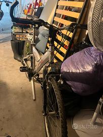 Bicicletta